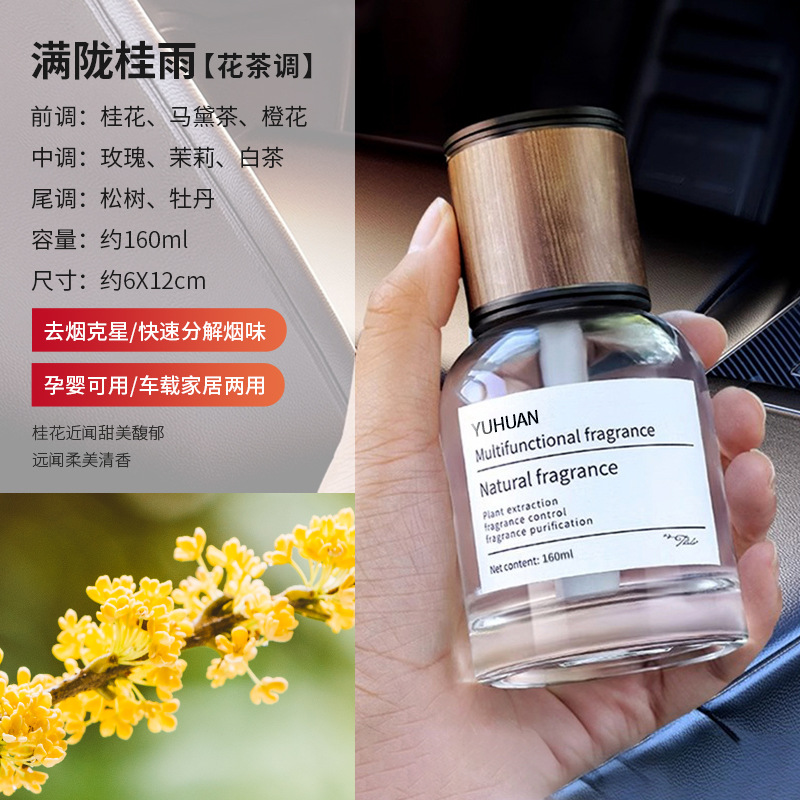 # Big Time 160ml-Full Longgui Rain / Car home dual-use aromatherapy/factory direct sales
