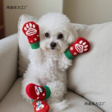 С�����m���ļ��ɐ��m�ӌ������׷����҃ȹ�����ůצ�׌��ﹷ�m��