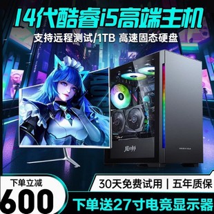 Core Desktop Computer Host i7i9 Class Single Display Water-cooled Desktop Live Chicken Eating Game Office Design
