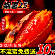 ����ɽ�|����25̖�����������ͼt�����t�팣��ɳ�صعϷ���ɽ��10