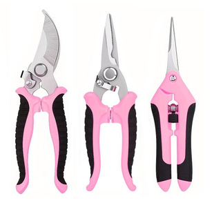��֦�����������b���P䓏����@�ֈ@ˇ���߼����@�֘�֦ժ�����ü�