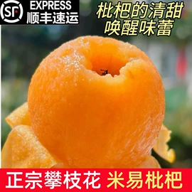 枇杷;柑桔;石榴