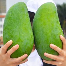 Խ�ϴ���â����â������ɳ�Խ�ϱ�Ƥ���ڮ������â���rһ�����l