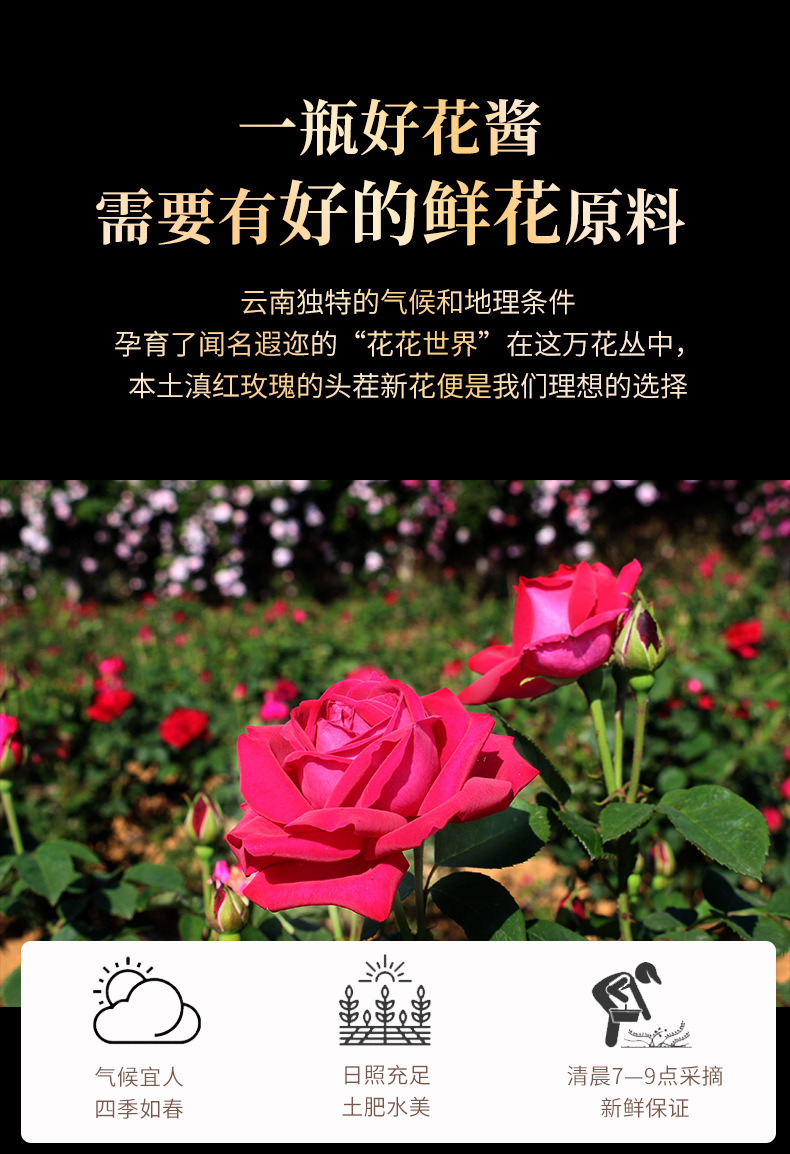 Organic Rose Honey Paste Yunnan Dianhong Rose Jam for Baking and Dessert Fillings 250g quality and texture
