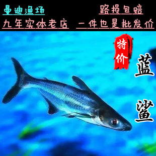 �Ꭷ�~�^�p�~�����~��ˮ�~ˮ�匙���~�׻��{�����w�~���~�����25