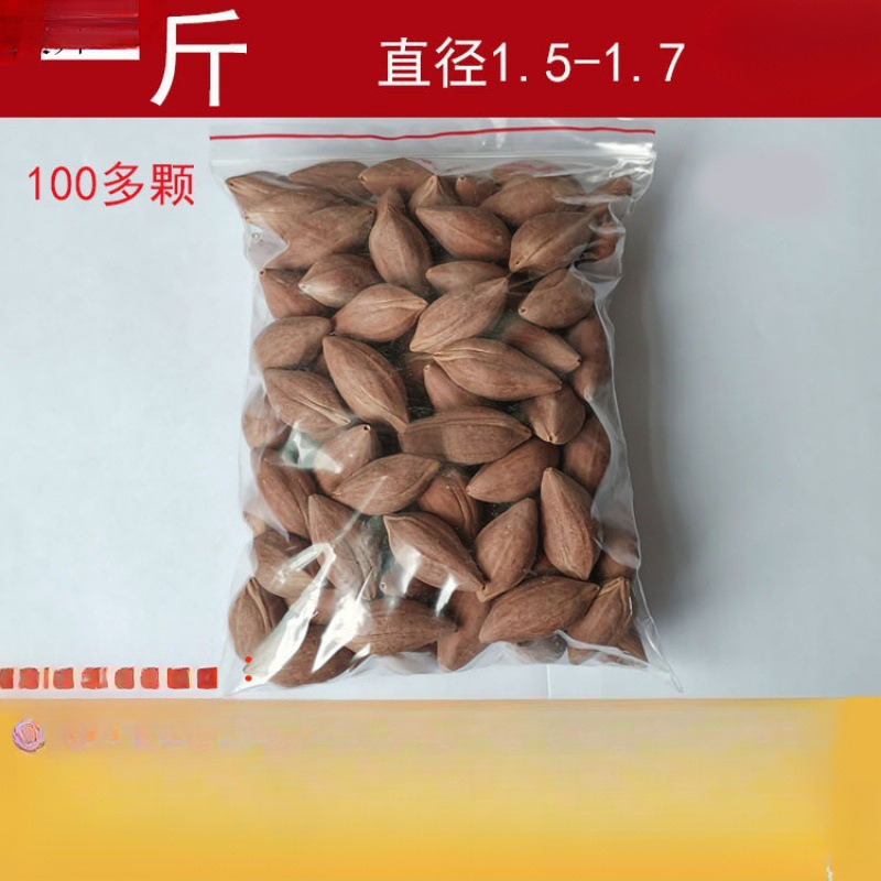 橄榄核刻单颗橄榄核原籽刻原核红油核罗汉把玩正圆核单籽手工默认