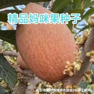 ��������N�ӡ��R�Ӽ{����N���ļ��Ϸ��Nֲ����ͥԺ�̨�N��-n