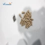 教学口腔仿真练习树脂
