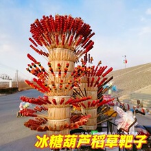 �Ǻ��Jչʾ��ľ���J�ݰ��Ӳ���Ǻ��J��ʽ���ݰѲ���Ǯ��[����̨