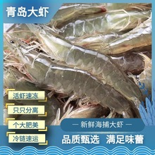 一件代發海鮮鮮活速凍青島大蝦冷凍海蝦青蝦基圍蝦蝦子海捕可批發