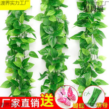 ���l���üٻ��b��{ˮ�ܵ��ٗl�ړ����~�G�}��������bGֲ