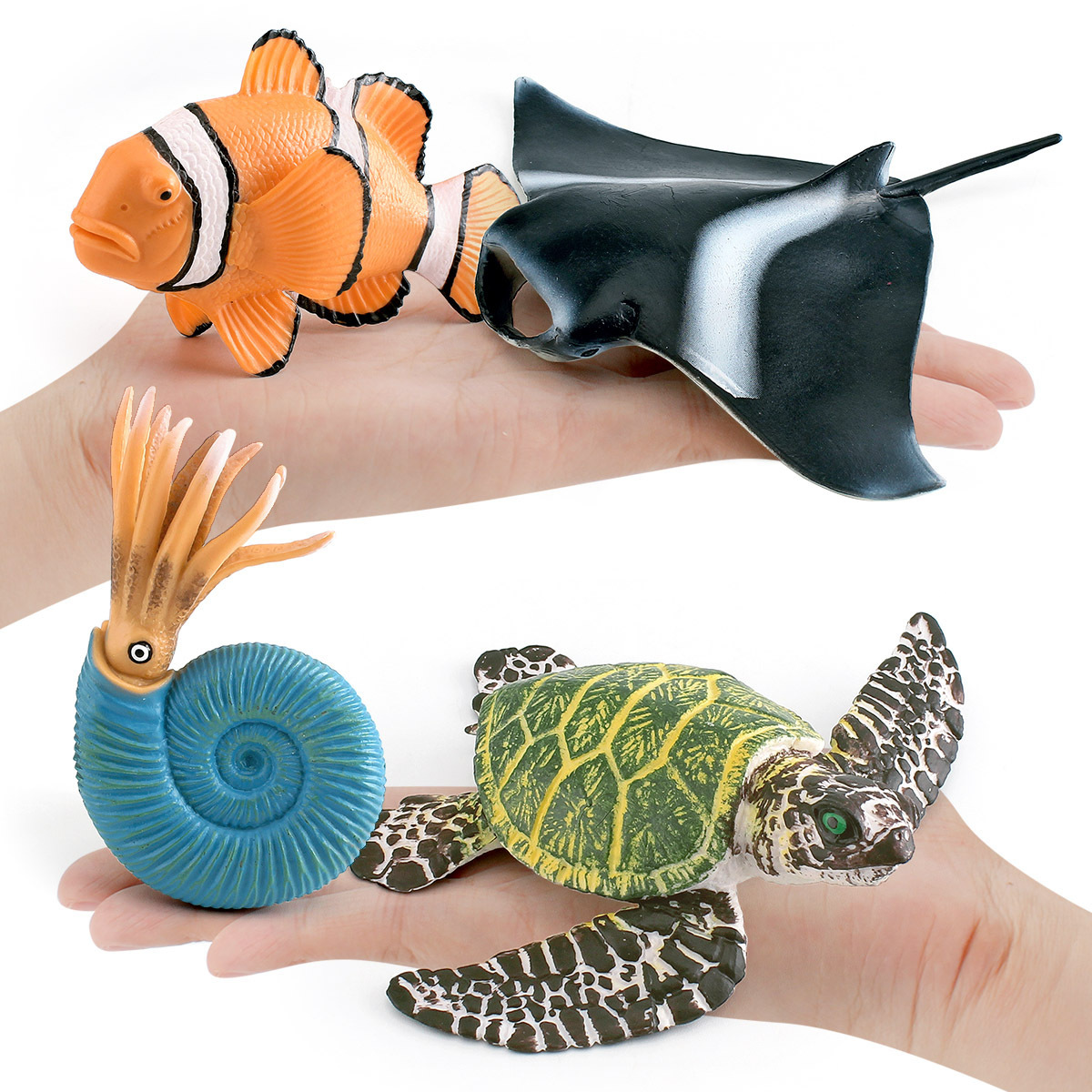 Transfronterizo de simulación de Animales Marinos de peces gran raya de tortuga verde pez payaso Nautilus Thorn modelo estático decoración de escritorio
