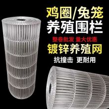 家用养殖鸽子鹦鹉鹌鹑铁网镀锌电焊网巻养鸡养兔子笼子镀锌铁丝网