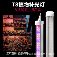 �t�{���T8һ�wֲ�����L�����ܜ����҃��������LEDֲ���a�����