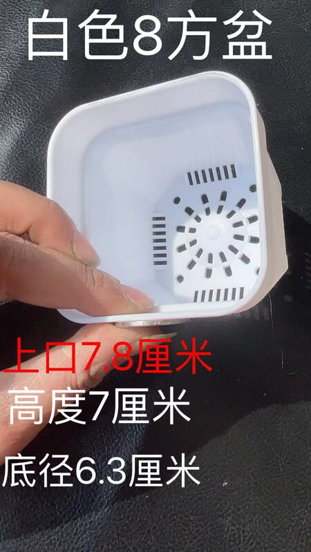 多肉方盆加厚白方阳台树脂塑料花盆圆角植物方盆多肉盆花盆批发|undefined