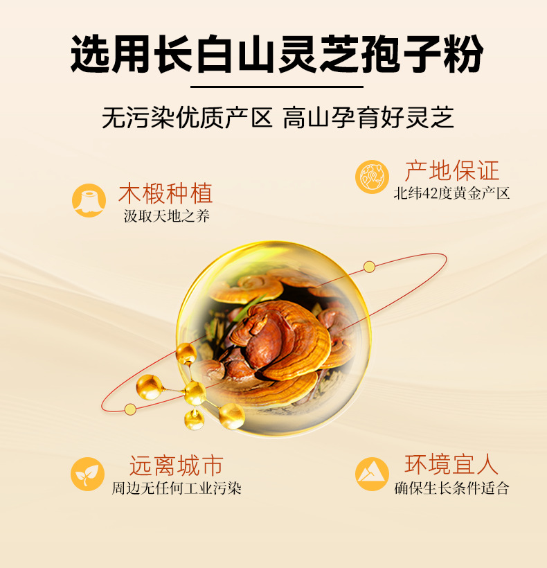 Reishi Mushroom Spore Powder 100g Changbai Mountain Lingzhi Spore Powder for Daily Wellness key features