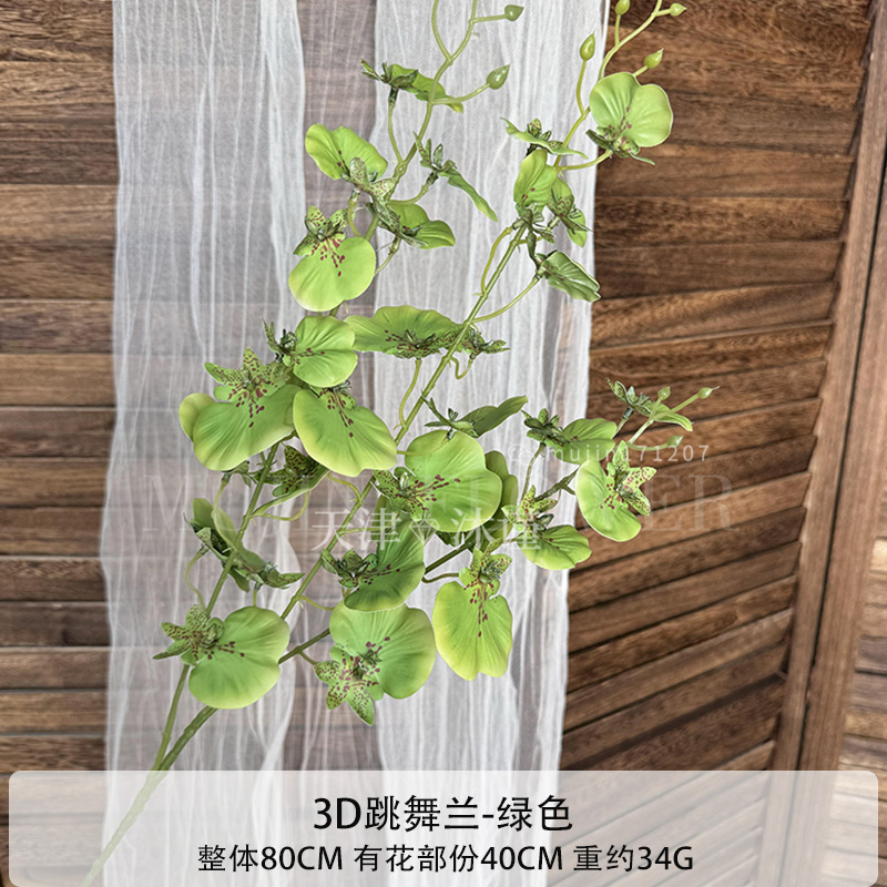 3D 춤추는 난초