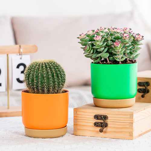 Mengxuan Ceramic Plastic Small Flower Pot Lazy Self-watering Water Storage Round Double-layer Succulent and Pothos Plant Pot