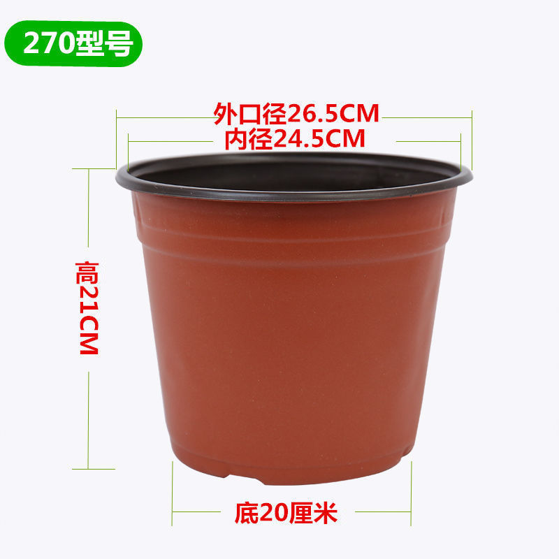 56bc6bb6-7bec-4802-bbd3-f5c72a36a798.jpe