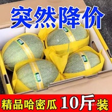 整箱包邮新疆哈密瓜礼盒装发包邮一爆甜直新疆哈密瓜薄皮羊角蜜瓜