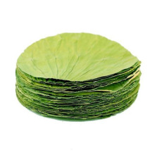 微山湖天然野生干荷叶蒸饭包粽子整张用糯米鸡饭酒坛馒头包子垫片