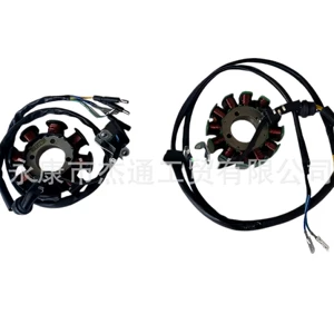 Motorcycle ATV accessories 125-250CC engine AC 8-pole/DC 12-pole coil magneto stator