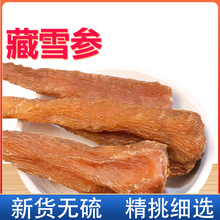 藏雪参 整根大条干货人参红毛阳参刺参精挑无硫新货500g批发代发