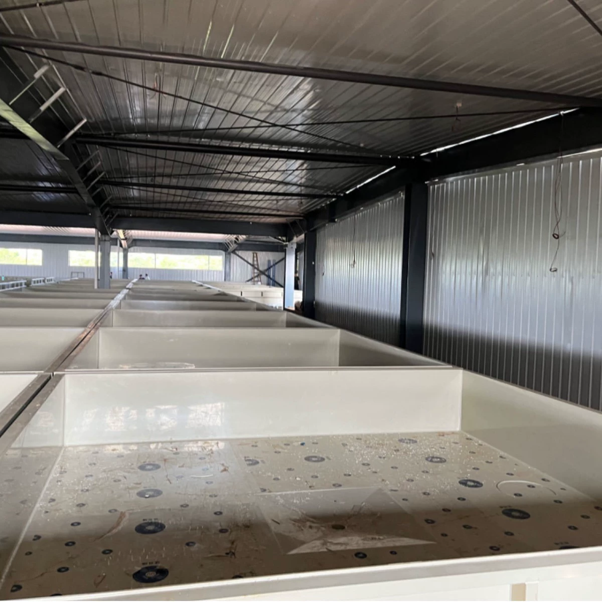 Рыбоводческий пруд Jiaberry PP PE экологически чистый, нетоксичный, коррозионностойкий и имеет длительный срок службы.