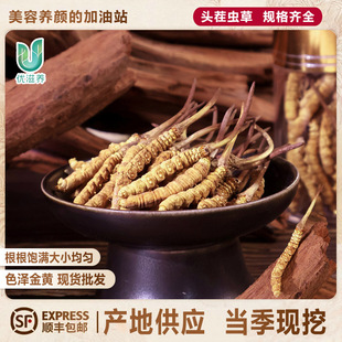 ���x�Ĳ݃����x�ݮa��ֱ��ȫҎ������x�ݮa��ֱ��Դ�^���lֱ�N