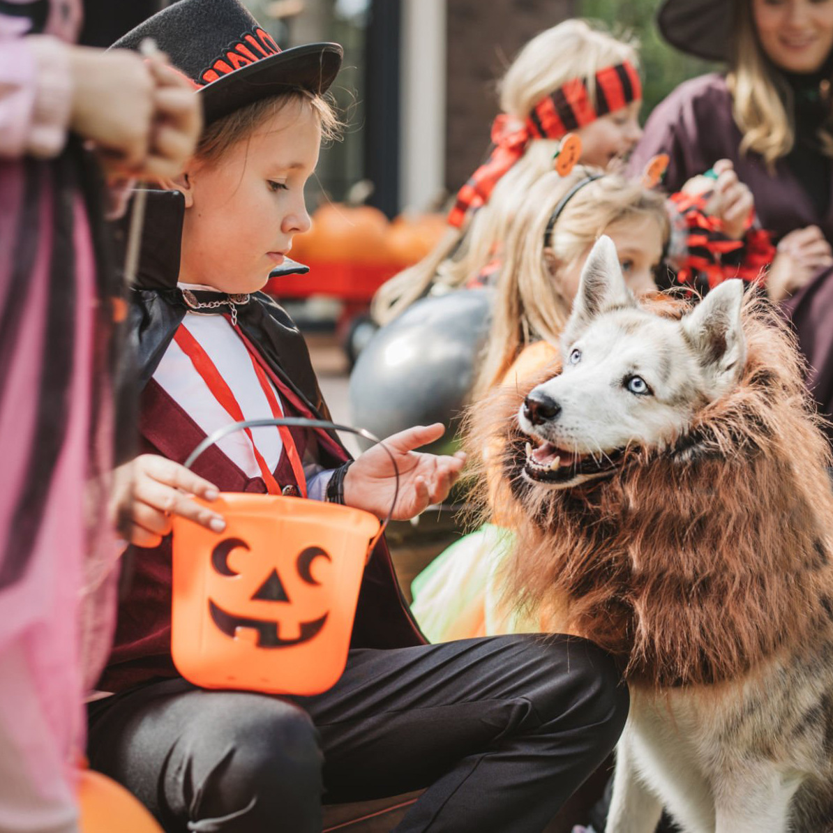 Barril de calabaza de Halloween transfronterizo, barril de calabaza de mano, barril de playa, barril de agua, barril de calabaza de ojos de luna de Halloween