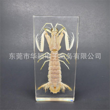 �挍��������˱����z��֬ƤƤ�r����r����˱��[�����չ�ˇƷ