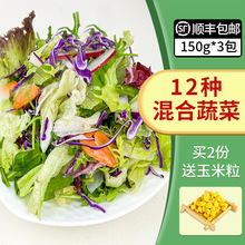 新鲜蔬菜沙拉食材150g*3包混合蔬菜西餐色拉生菜轻食健身沙拉配菜
