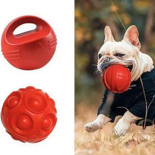 ����Ӗ���������ιʳ��������ҧ��߹�ĥ�����XӖȮ©ʳ����ҧ