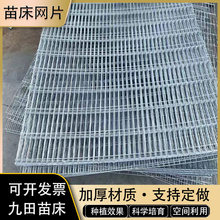 ����\���紲�W���ܾW�����紲�Ƅӹ̶��WƬ����Nֲ�������