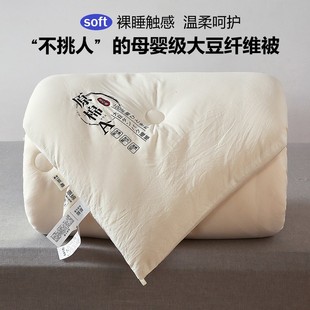 Class A raw cotton soybean fiber quilt maternal and child thickened warm winter quilt core spring and autumn air conditioning gift quilt four seasons