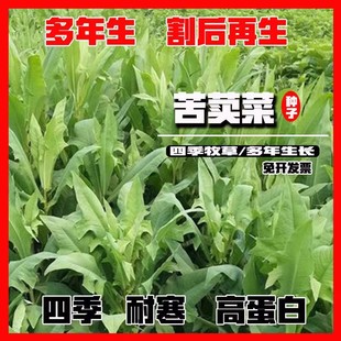 ���{�˷N�ӿ������u���Z�~���Bֳ�ļ����ݷN�Ӷ������L�׷Nֲ