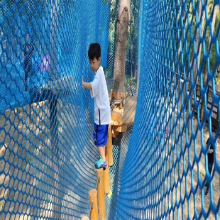 Dream Dragon Outdoor Farm Design Jungle Crossing Amusement Jungle Crossing Amusement Project Manufacturers