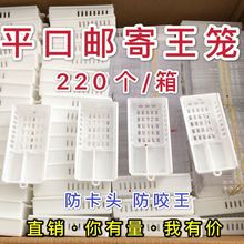 邮寄王笼蜂王邮寄王笼220个/箱平口王笼防卡头邮寄专用双槽王笼