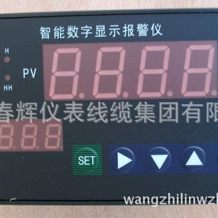 数显仪表NPXM-2012P5