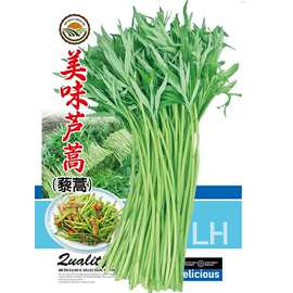 美味芦蒿黎蒿种子水蒿柳蒿泥蒿水艾蒌蒿种籽菊科蒿属地生植物