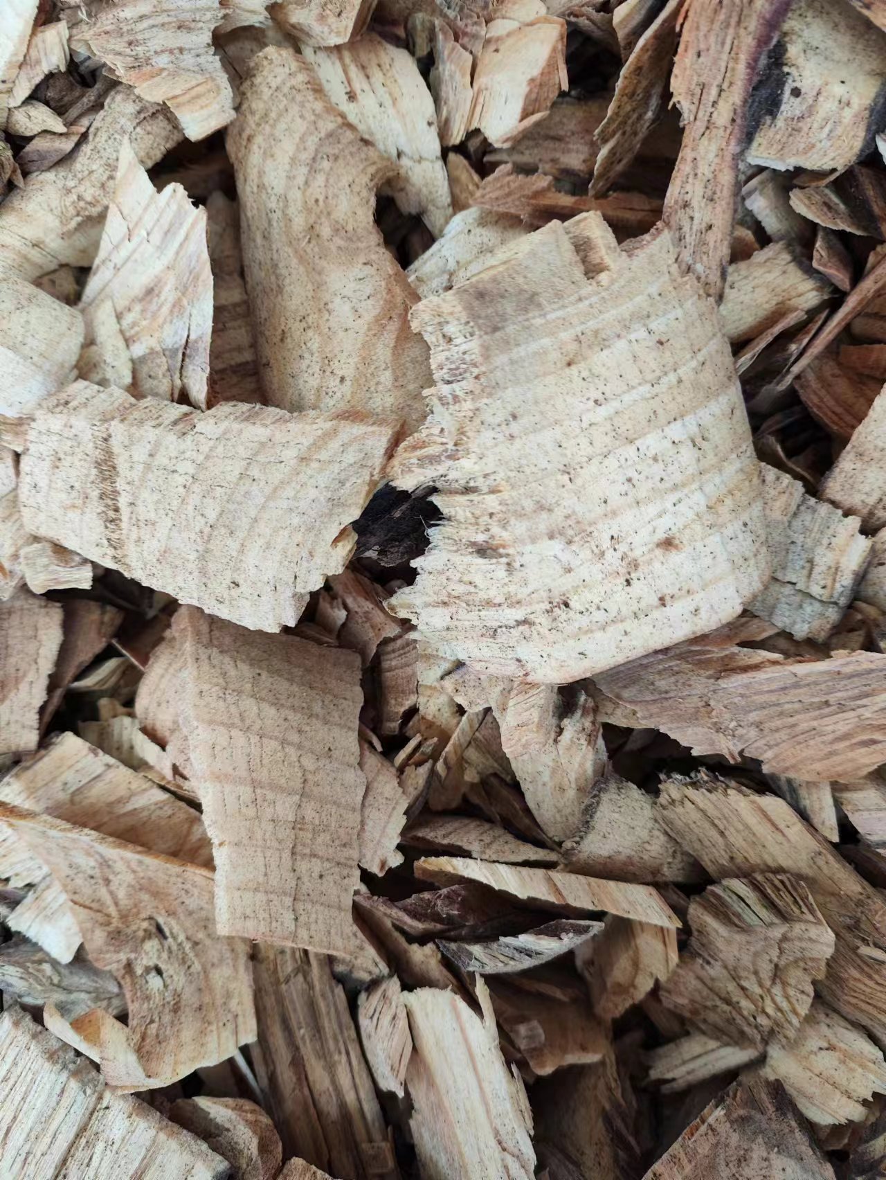 You Song Jie (Pinus tabuliformis Resin Wood) — Dried Pine Node Decoction Pieces, 500g quality and texture