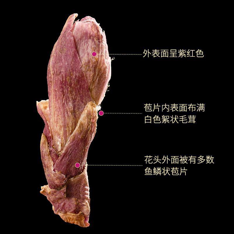 Dried Coltsfoot Flower Kuan Dong Hua Tussilago farfara Loose Herbal Buds for Tea and Decoction 500g quality and texture