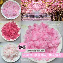 免撕绢布花瓣假花瓣花瓣手抛花舞台撒花桃花花瓣樱花花瓣轧诉