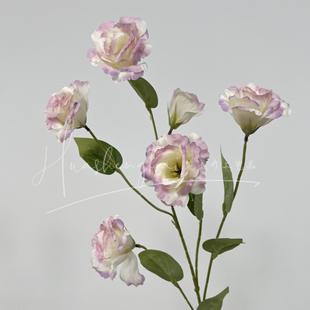 6�^��۹����滨��c��Y�Y���b廨�Ƶ�Ҿ�����[�O�ٻ����l