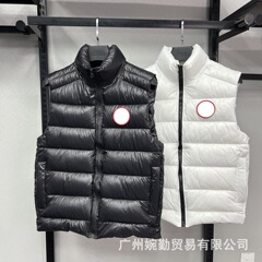 クロスボーダーのガチョウの明るい面の綿の服の馬甲の男女の同じタイプの秋冬のタイプの立襟は厚くて暖かい袖なしのベストの外で着ます。