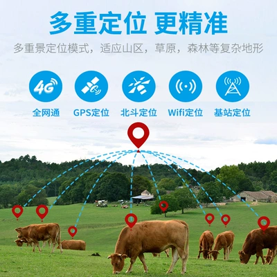 Cattle and Sheep Locator Beidou: GPS Locator