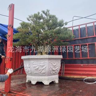 �����S����r�������S������S��ȸ���S����ؾGֲ��ľ�����S���