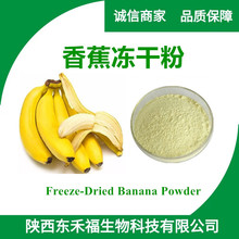 香蕉冻干粉 香蕉提取物 香蕉粉 另有香蕉果粉香蕉花1kg起售