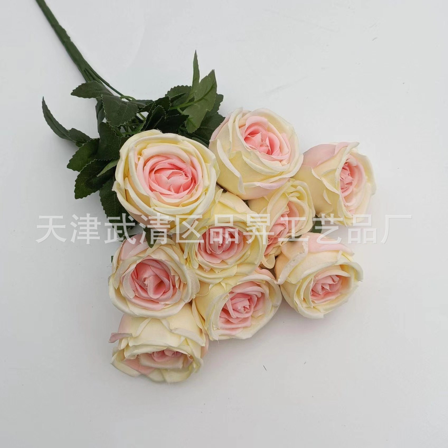 8de7f898f78101d1feb317c5c32548