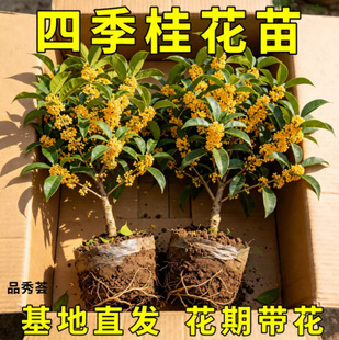 �𻨘���������ļ��𻨻��̨ͥԺ�҃��_���������Ϙ��Gֲ��